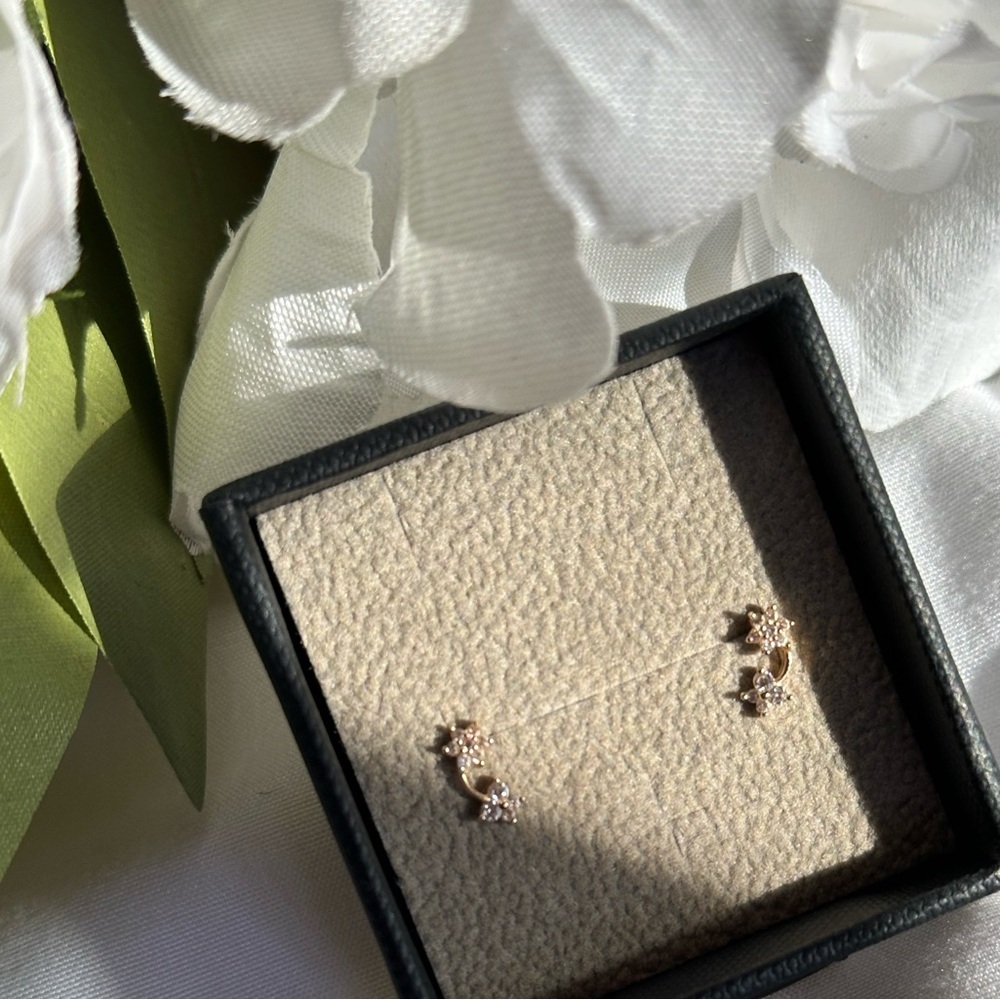 14k gold earrings